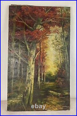 Ancienne XXème huile sur toile paysage Foret forestier