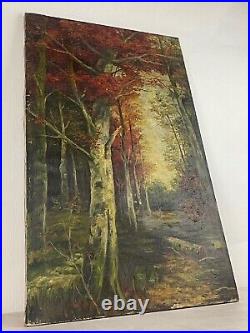 Ancienne XXème huile sur toile paysage Foret forestier