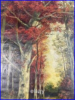 Ancienne XXème huile sur toile paysage Foret forestier