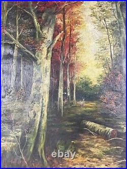 Ancienne XXème huile sur toile paysage Foret forestier