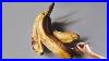 Bananas Painting On Canvas How To Paint 3d Art