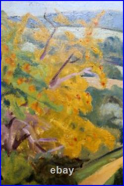 Boris Wladimir BUCHET (1917-1999)- Petit chemin vers le village- H. S. Toile