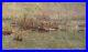 Ciry Michel huile sur toile signée 1958 port de Rotterdam Varengeville sur mer