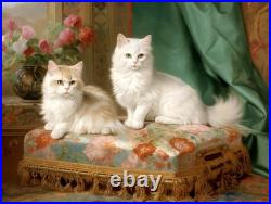Duo de chats persans blancs face à la fenêtre fleurie? 40x30 cm