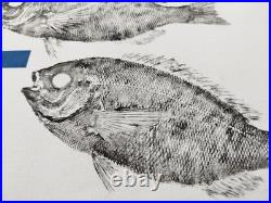 Gyotaku original signé, Empreinte de dorades et formes, prêt à être accroché