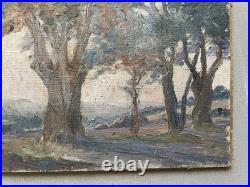 Paysage arboré, huile sur toile, tableau ancien, peinture