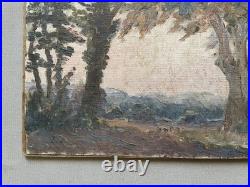 Paysage arboré, huile sur toile, tableau ancien, peinture