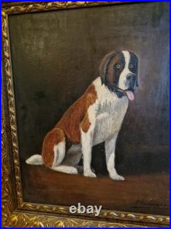 Peinture Ancienne, Huile Sur Toile Chien Saint Bernard Encadrée