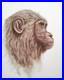 Peinture, chimpanzé huile sur toile, format 33/41 cm année 2026