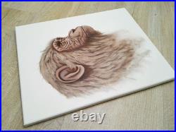 Peinture, chimpanzé huile sur toile, format 33/41 cm année 2026