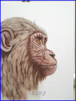 Peinture, chimpanzé huile sur toile, format 33/41 cm année 2026