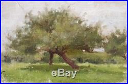 Peinture huile Jules-Cyrille Cavé paysage nature arbres jardin XIXème XXème
