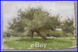Peinture huile Jules-Cyrille Cavé paysage nature arbres jardin XIXème XXème