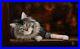 Peinture tableau chat Huile sur toile taille 61×38 cm