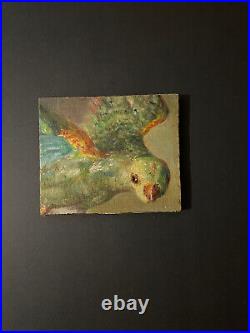 Petit tableau première moitié XXème siècle perroquet huile sur toile bon état