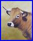 Tableau huile sur toile Portrait de vache d’Aubrac